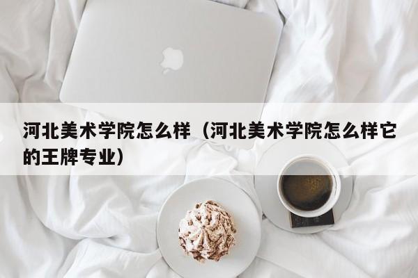 河北美术学院怎么样（河北美术学院怎么样它的王牌专业）