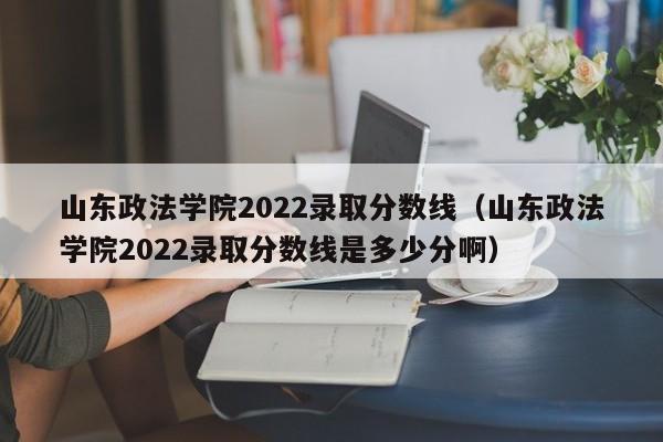 山东政法学院2022录取分数线（山东政法学院2022录取分数线是多少分啊）