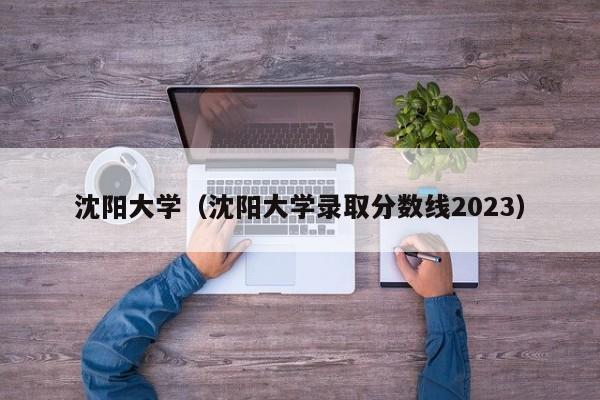 沈阳大学（沈阳大学录取分数线2023）