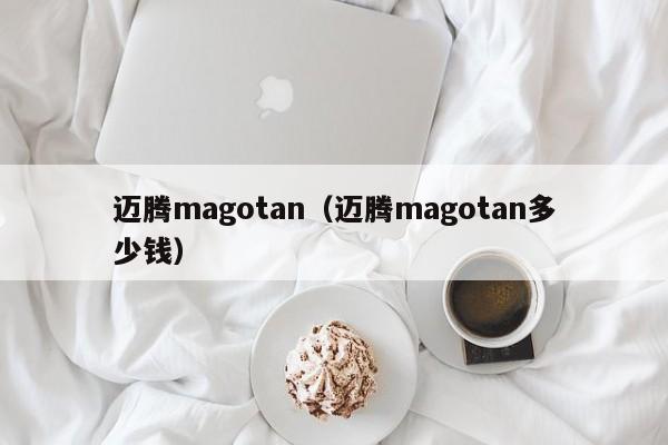 迈腾magotan（迈腾magotan多少钱）