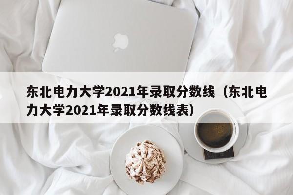 东北电力大学2021年录取分数线（东北电力大学2021年录取分数线表）