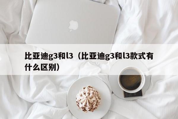 比亚迪g3和l3（比亚迪g3和l3款式有什么区别）