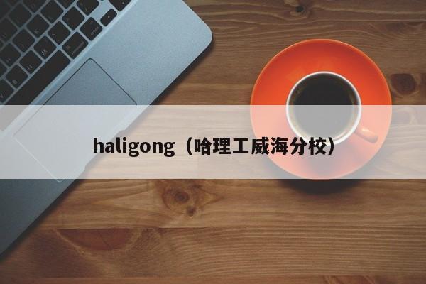 haligong（哈理工威海分校）