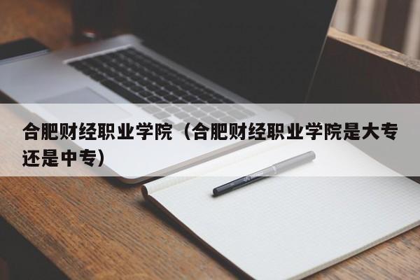 合肥财经职业学院（合肥财经职业学院是大专还是中专）