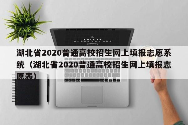 湖北省2020普通高校招生网上填报志愿系统（湖北省2020普通高校招生网上填报志愿表）