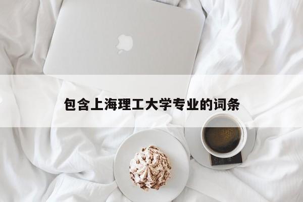 包含上海理工大学专业的词条