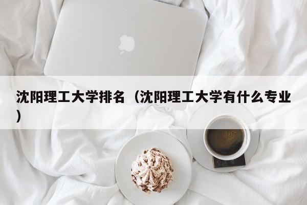 沈阳理工大学排名（沈阳理工大学有什么专业）