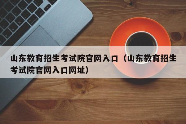 山东教育招生考试院官网入口（山东教育招生考试院官网入口网址）