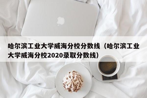 哈尔滨工业大学威海分校分数线（哈尔滨工业大学威海分校2020录取分数线）