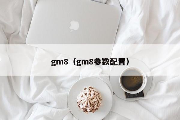 gm8（gm8参数配置）