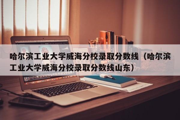 哈尔滨工业大学威海分校录取分数线（哈尔滨工业大学威海分校录取分数线山东）