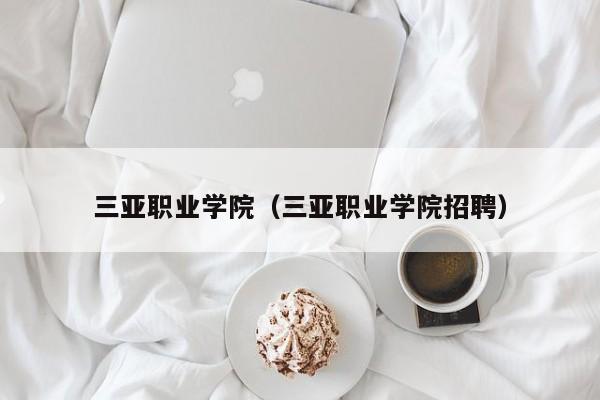 三亚职业学院（三亚职业学院招聘）