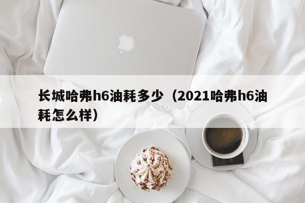 长城哈弗h6油耗多少（2021哈弗h6油耗怎么样）