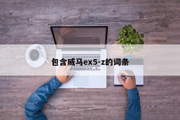 包含威马ex5-z的词条