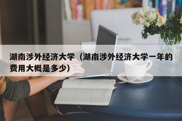 湖南涉外经济大学（湖南涉外经济大学一年的费用大概是多少）